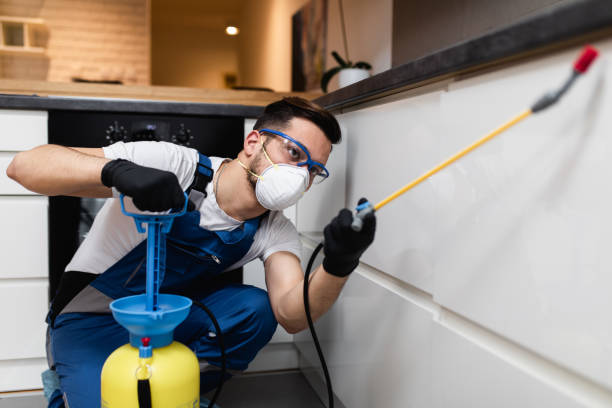 Best Exterminator Services  in Cheviot, OH