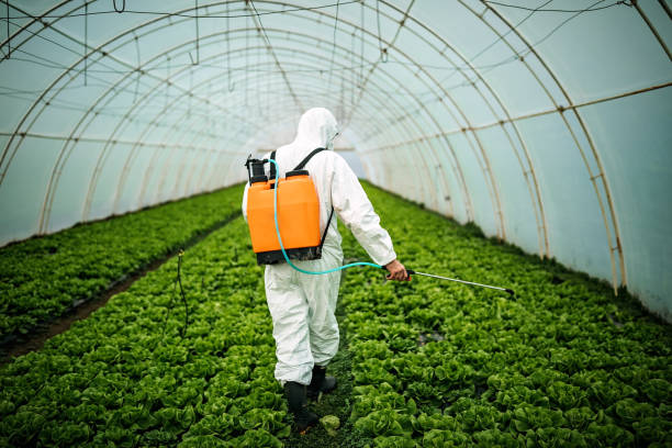 Best Pest Control Near Me  in Cheviot, OH