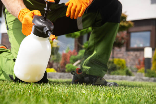 Best Flea Control Services  in Cheviot, OH
