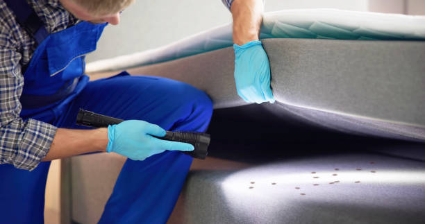 Best Residential Pest Control  in Cheviot, OH