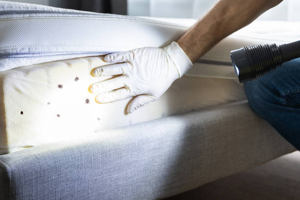Best Mosquito Control Services  in Cheviot, OH
