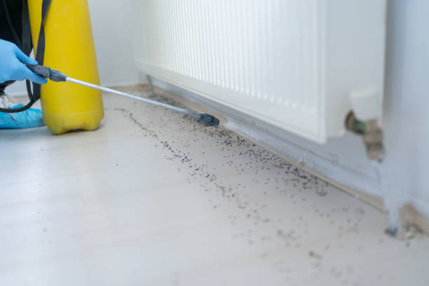 Professional Pest Control in Cheviot, OH