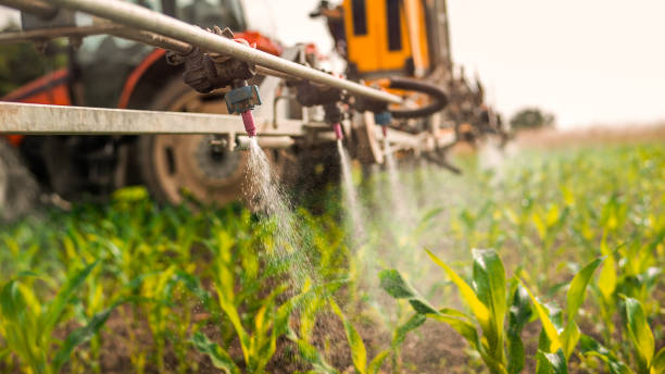 Best Commercial Pest Control Services  in Cheviot, OH